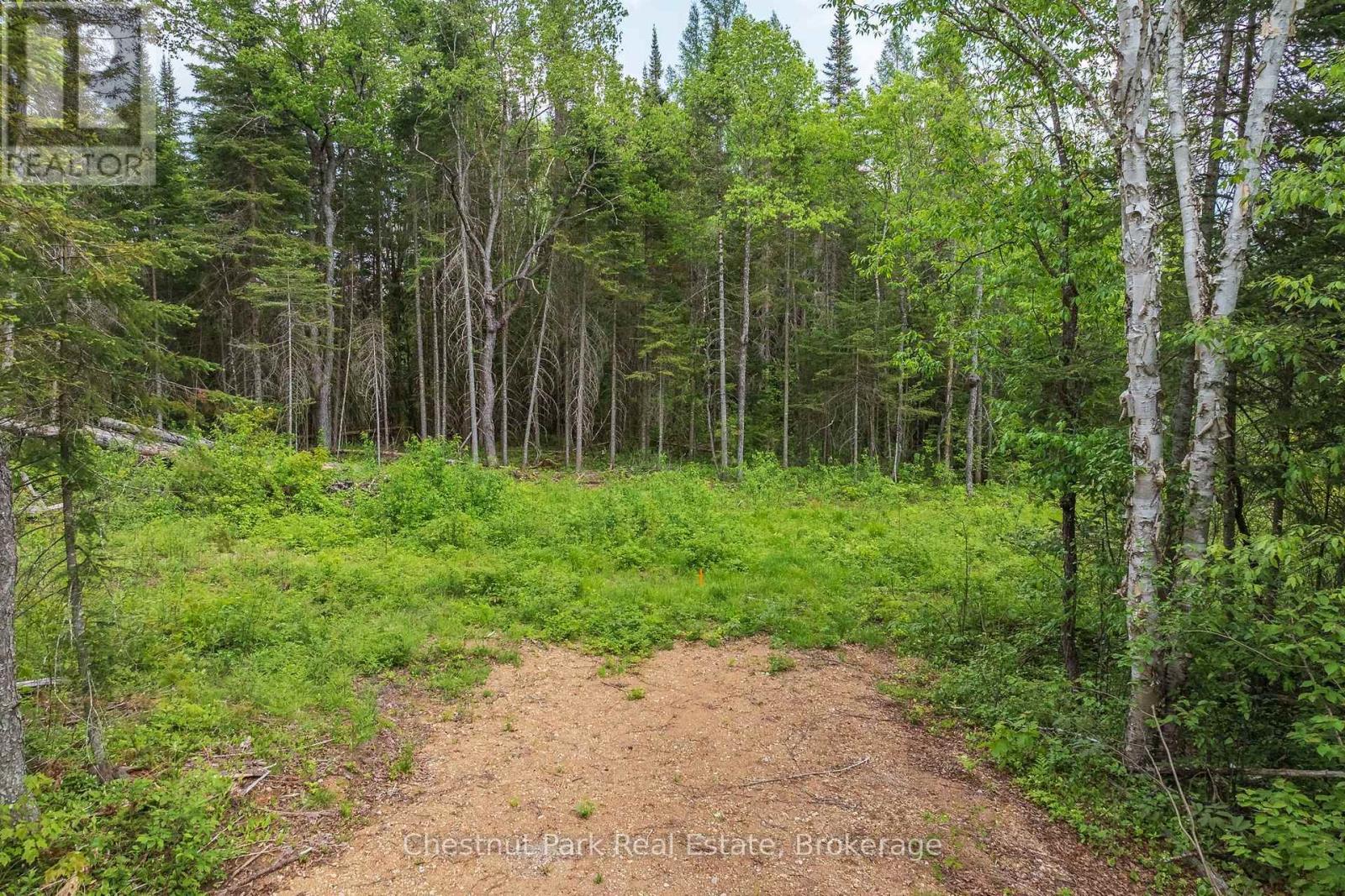 0 Stoneway Road, Kearney, Ontario  P0A 1M0 - Photo 3 - X13745504