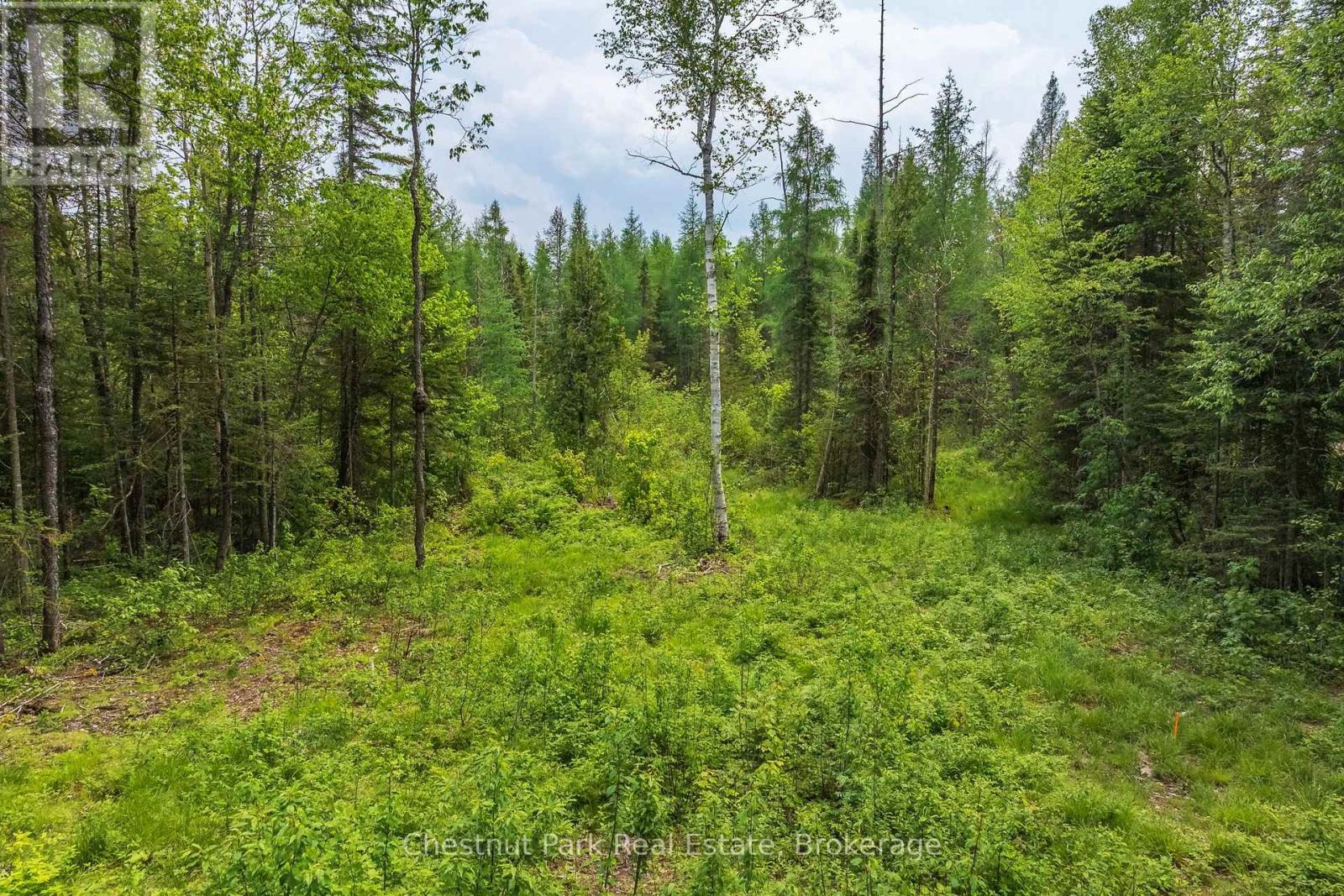 0 Stoneway Road, Kearney, Ontario  P0A 1M0 - Photo 6 - X13745504