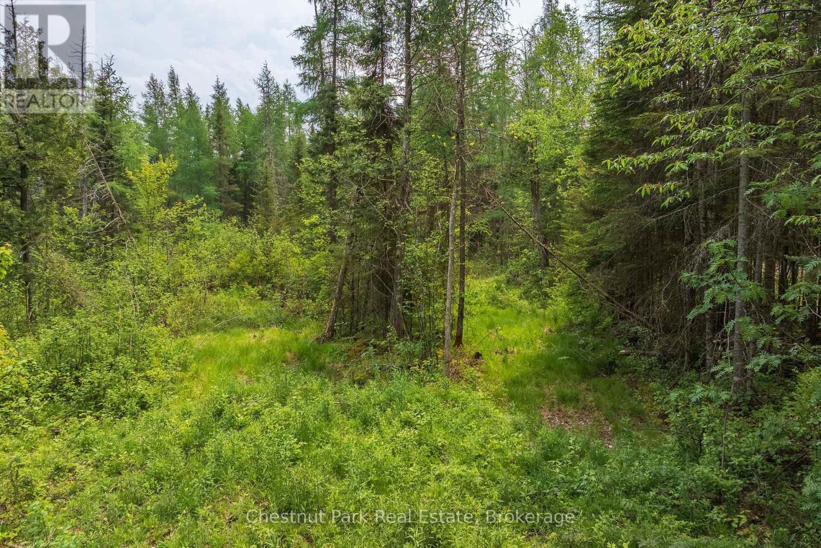 0 Stoneway Road, Kearney, Ontario  P0A 1M0 - Photo 7 - X13745504