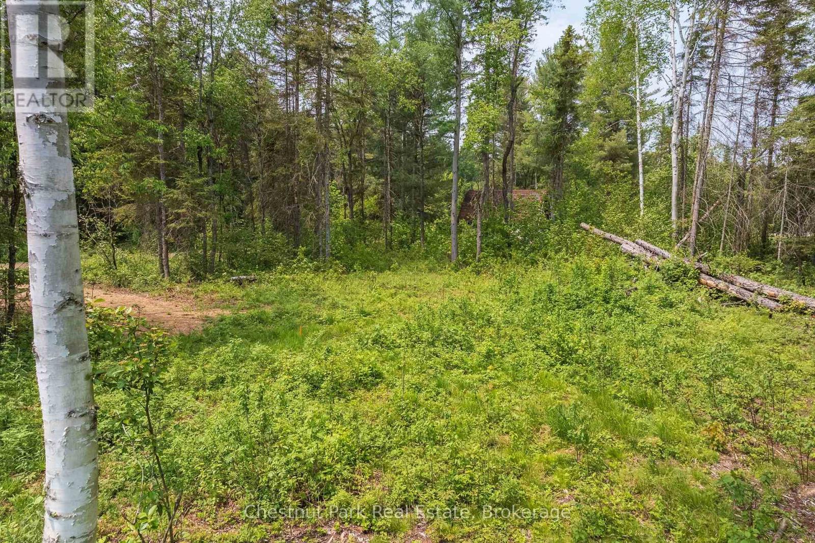 0 Stoneway Road, Kearney, Ontario  P0A 1M0 - Photo 8 - X13745504