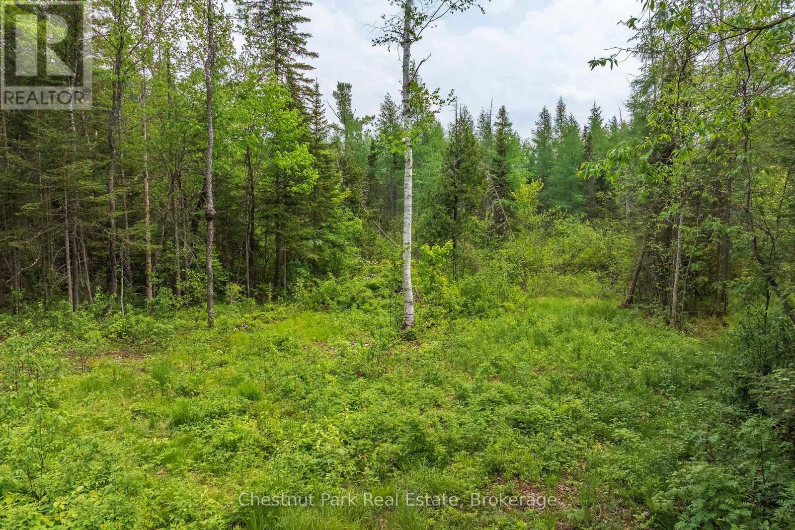 0 Stoneway Road, Kearney, Ontario  P0A 1M0 - Photo 9 - X13745504