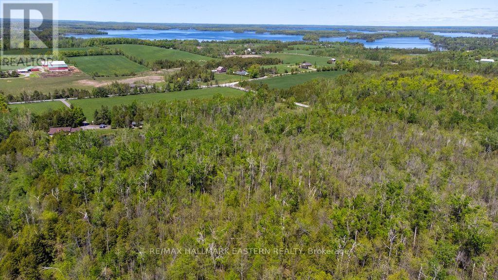 615 Edenderry Line, Selwyn, Ontario  K0L 1T0 - Photo 46 - X13745280