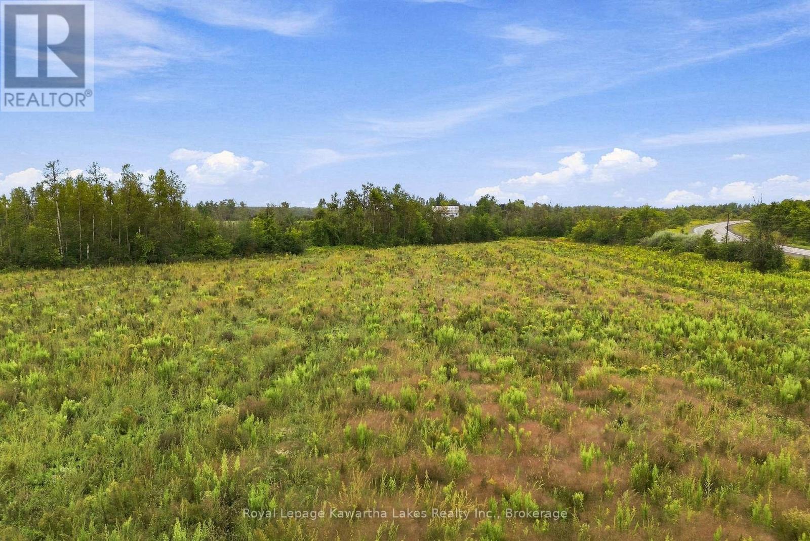 Pt Lt 10 8 Concession, Kawartha Lakes, Ontario K0L 2X0 - Photo 8 - X13745282