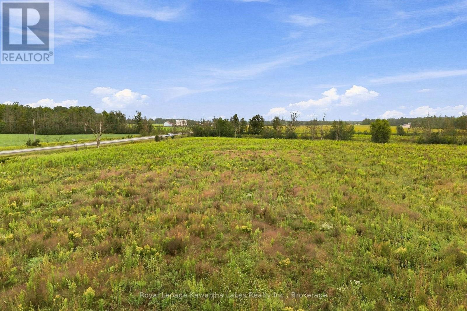 Pt Lt 10 8 Concession, Kawartha Lakes, Ontario K0L 2X0 - Photo 9 - X13745282