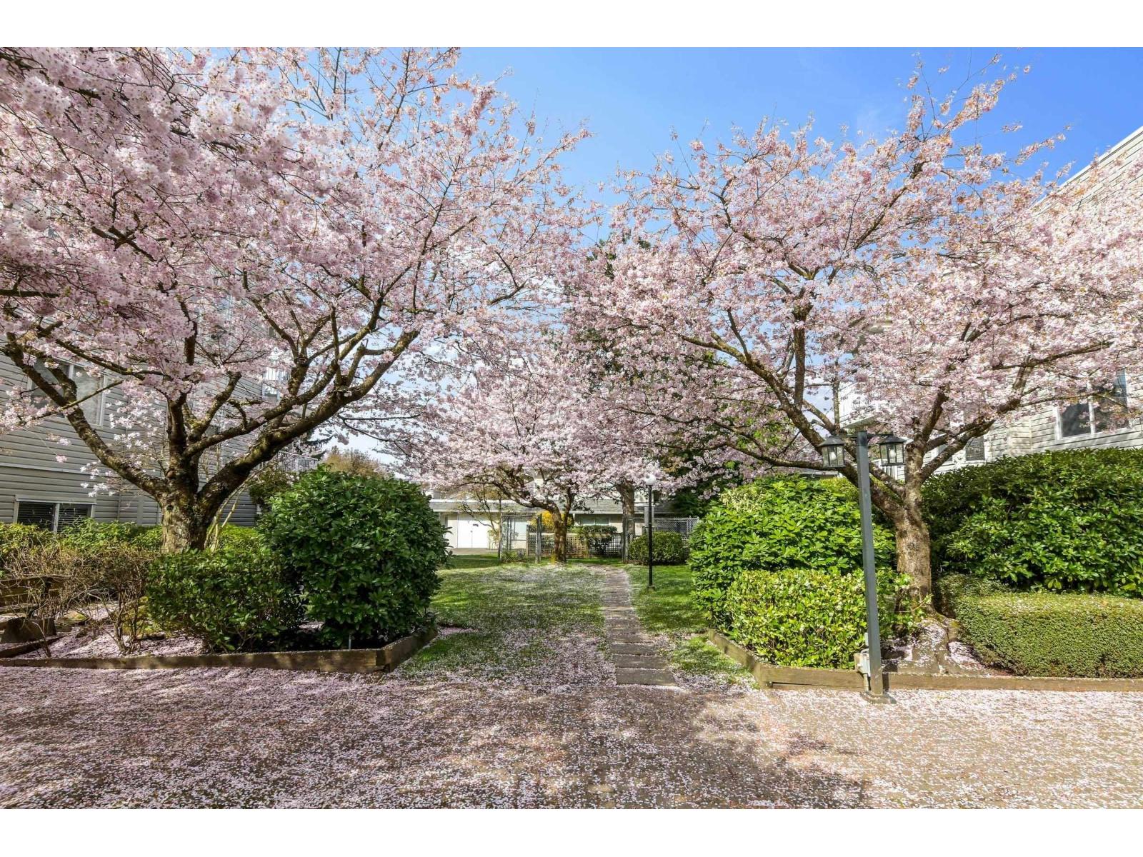 102 9948 151 Street, Surrey, British Columbia  V3R 0V6 - Photo 23 - R3144530