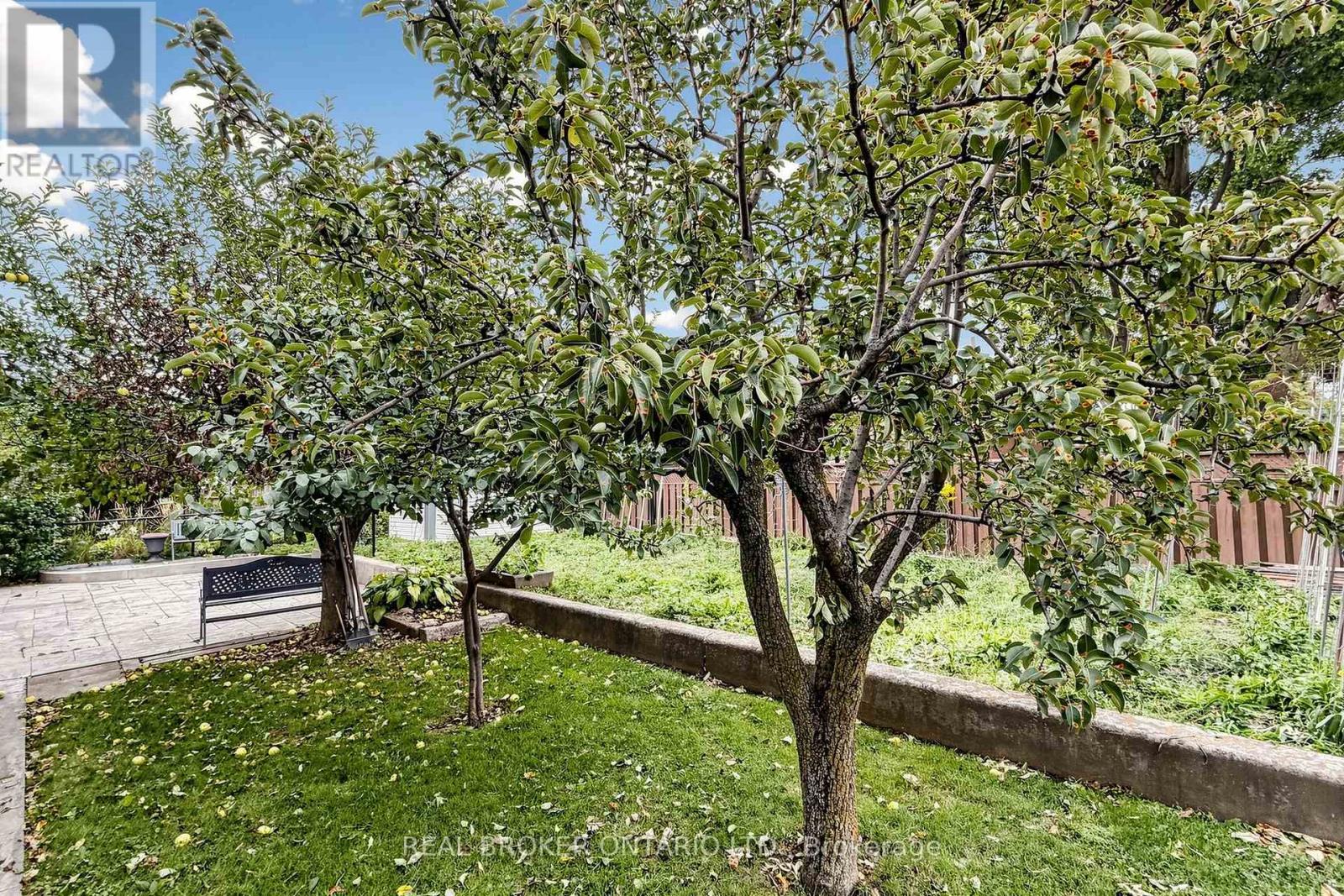 2 Dorking Crescent, Toronto, Ontario  M3M 2B6 - Photo 47 - W13745578