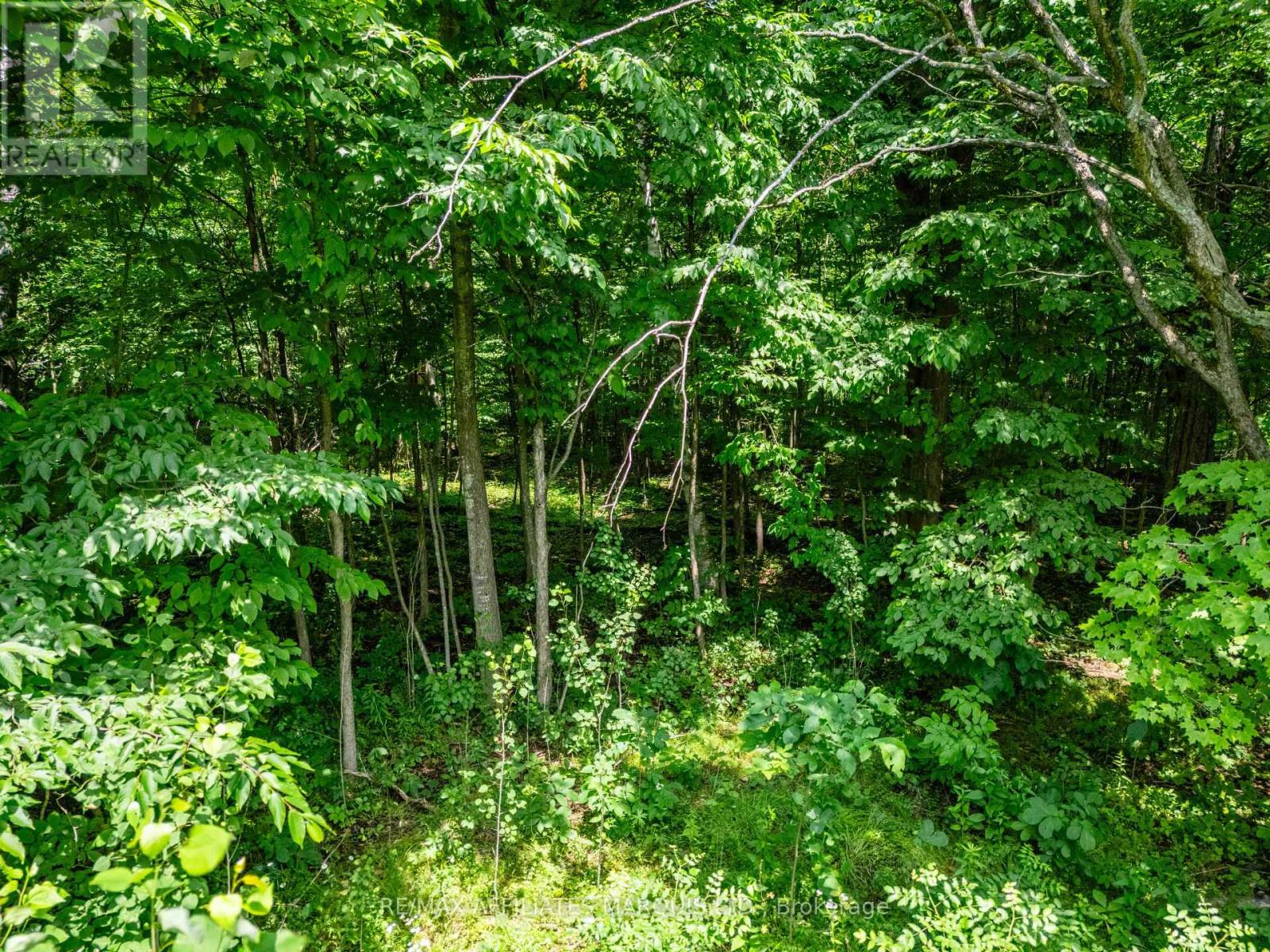 Lot Beaver Brook Road, South Glengarry, Ontario  K0C 1S0 - Photo 3 - X13745988