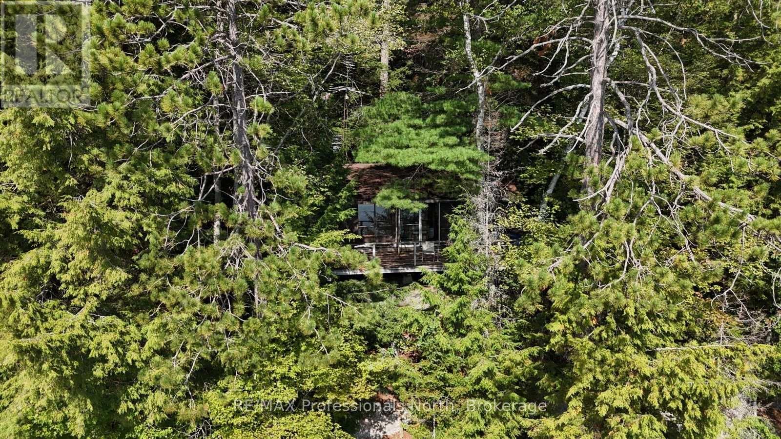 1019 Arrowhead Drive, Highlands East, Ontario  K0M 1S0 - Photo 2 - X13745806