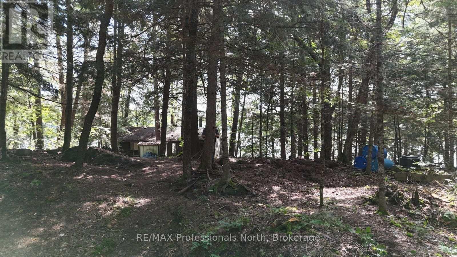 1019 Arrowhead Drive, Highlands East, Ontario  K0M 1S0 - Photo 29 - X13745806