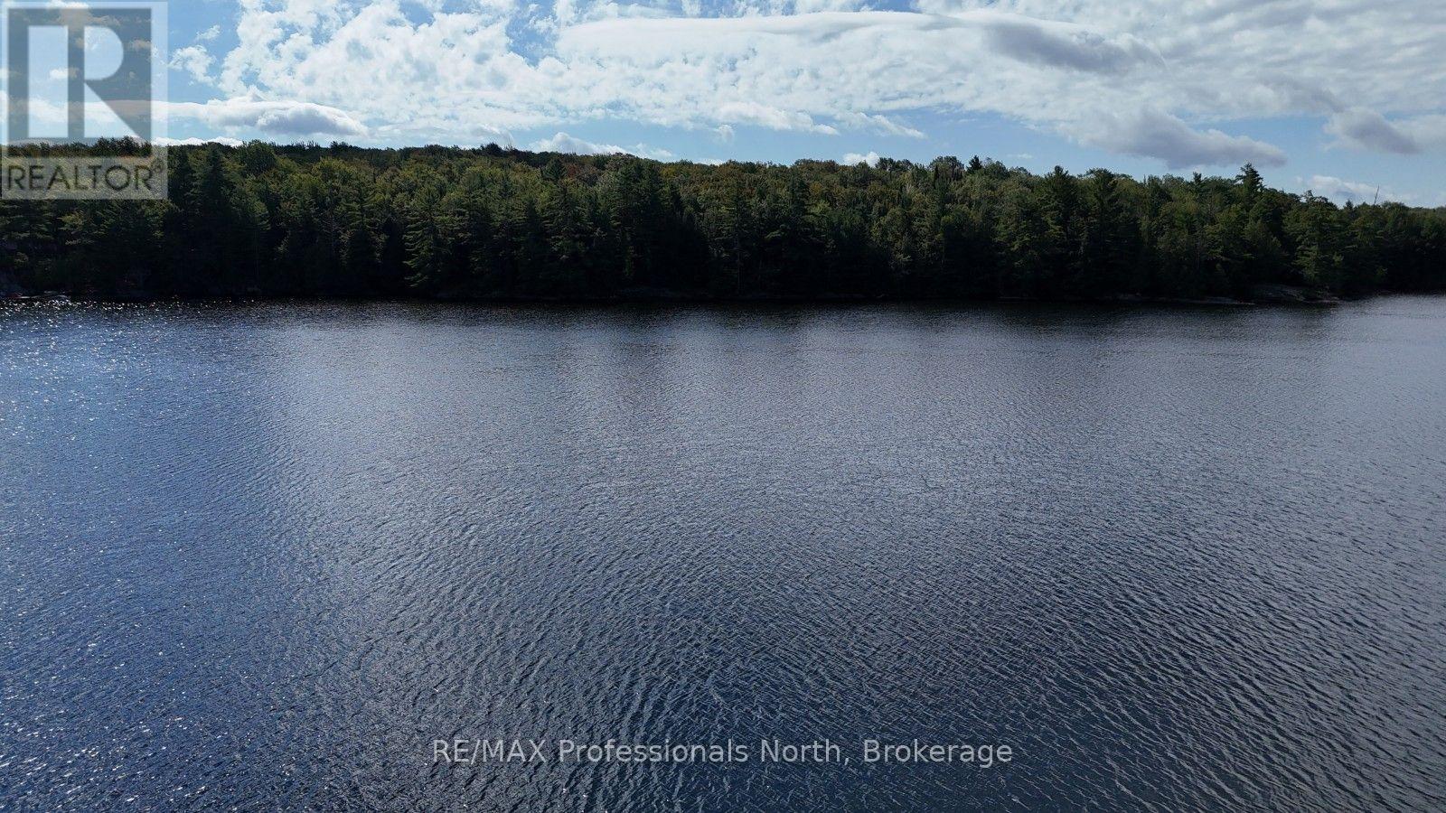 1019 Arrowhead Drive, Highlands East, Ontario  K0M 1S0 - Photo 38 - X13745806