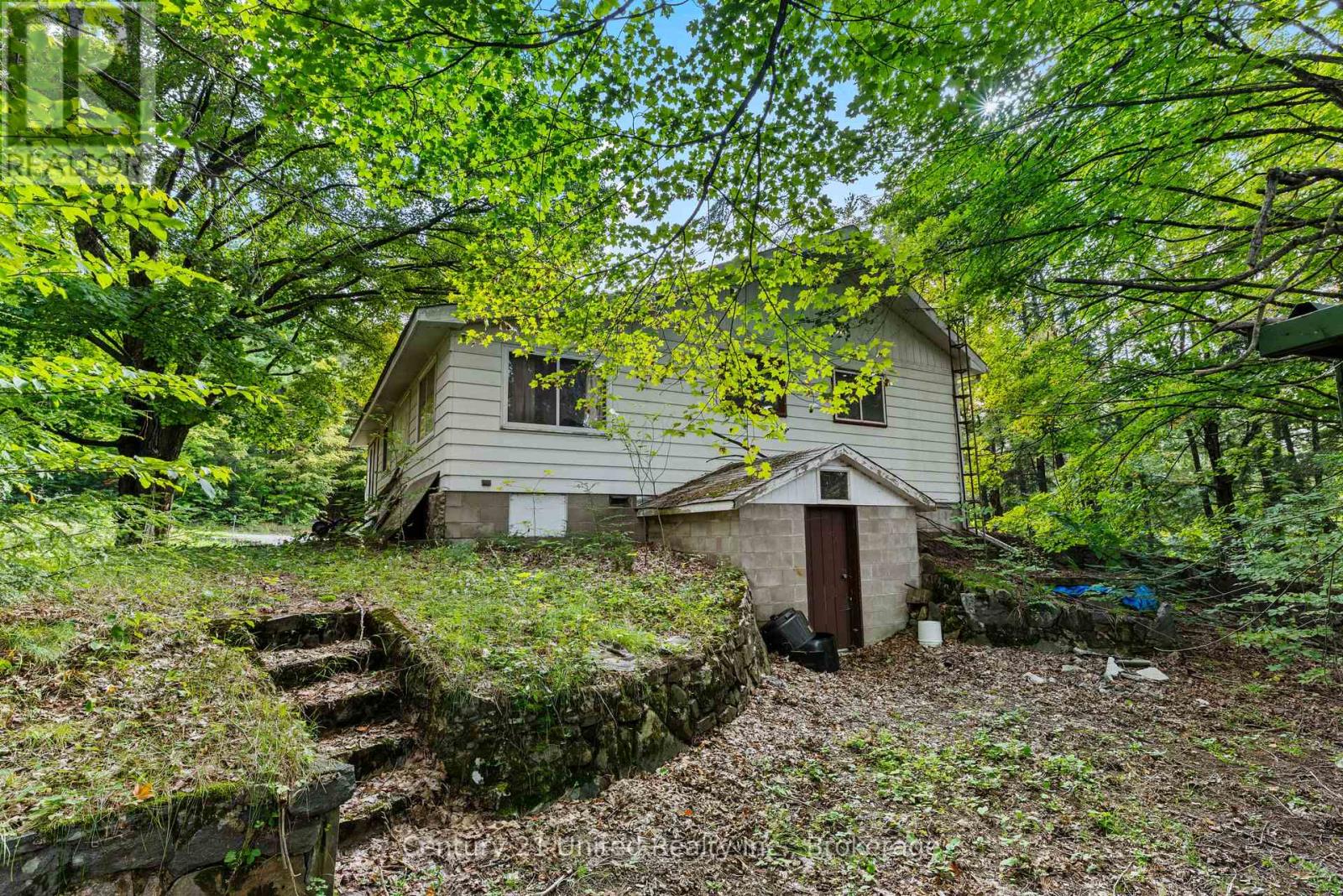 49 Mcfadden Road, North Kawartha, Ontario  K0L 1A0 - Photo 7 - X13745800