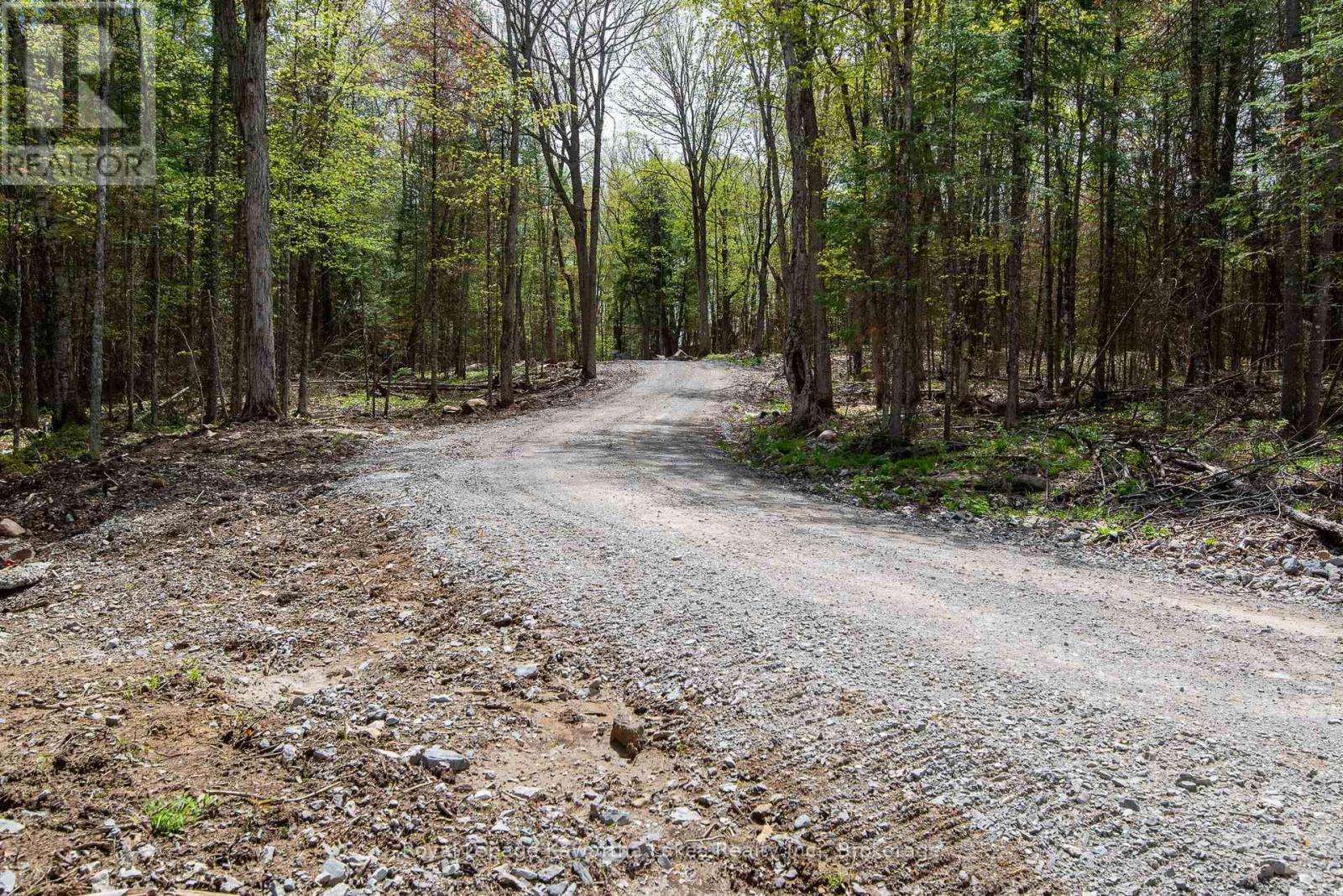 1851 Contau Lake Road, Highlands East, Ontario  K0M 1R0 - Photo 41 - X13745832