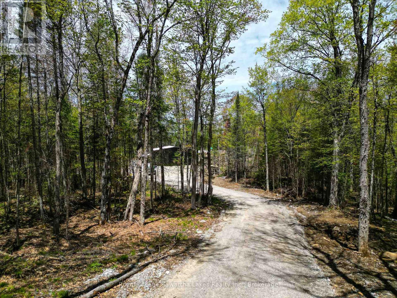 1851 Contau Lake Road, Highlands East, Ontario  K0M 1R0 - Photo 42 - X13745832