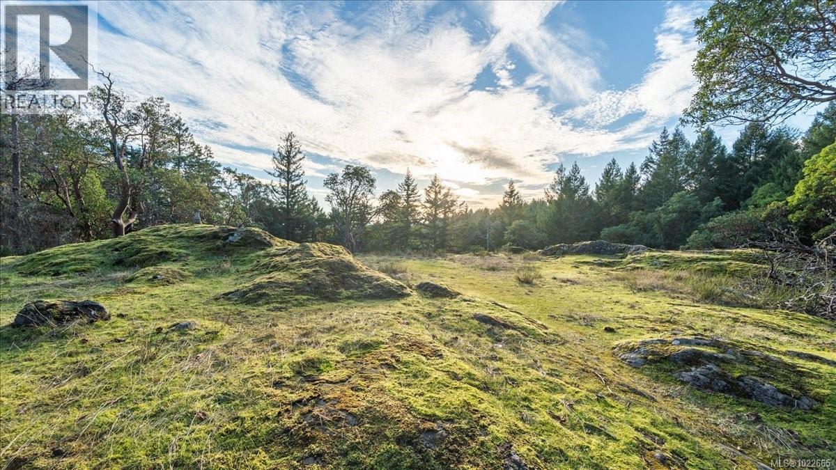 405 Hazlitt Creek Rd, Highlands, British Columbia  V9E 2A3 - Photo 7 - 1022665