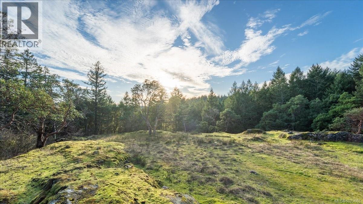 405 Hazlitt Creek Rd, Highlands, British Columbia  V9E 2A3 - Photo 8 - 1022665