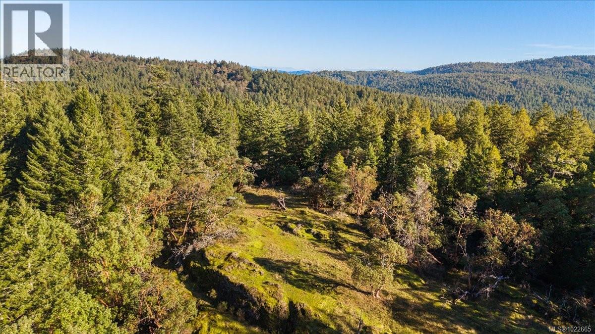 405 Hazlitt Creek Rd, Highlands, British Columbia  V9E 2A3 - Photo 9 - 1022665