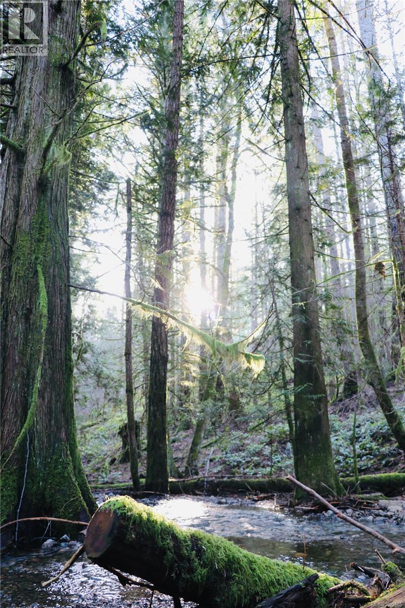 405 Hazlitt Creek Rd, Highlands, British Columbia  V9E 2A3 - Photo 52 - 1022665