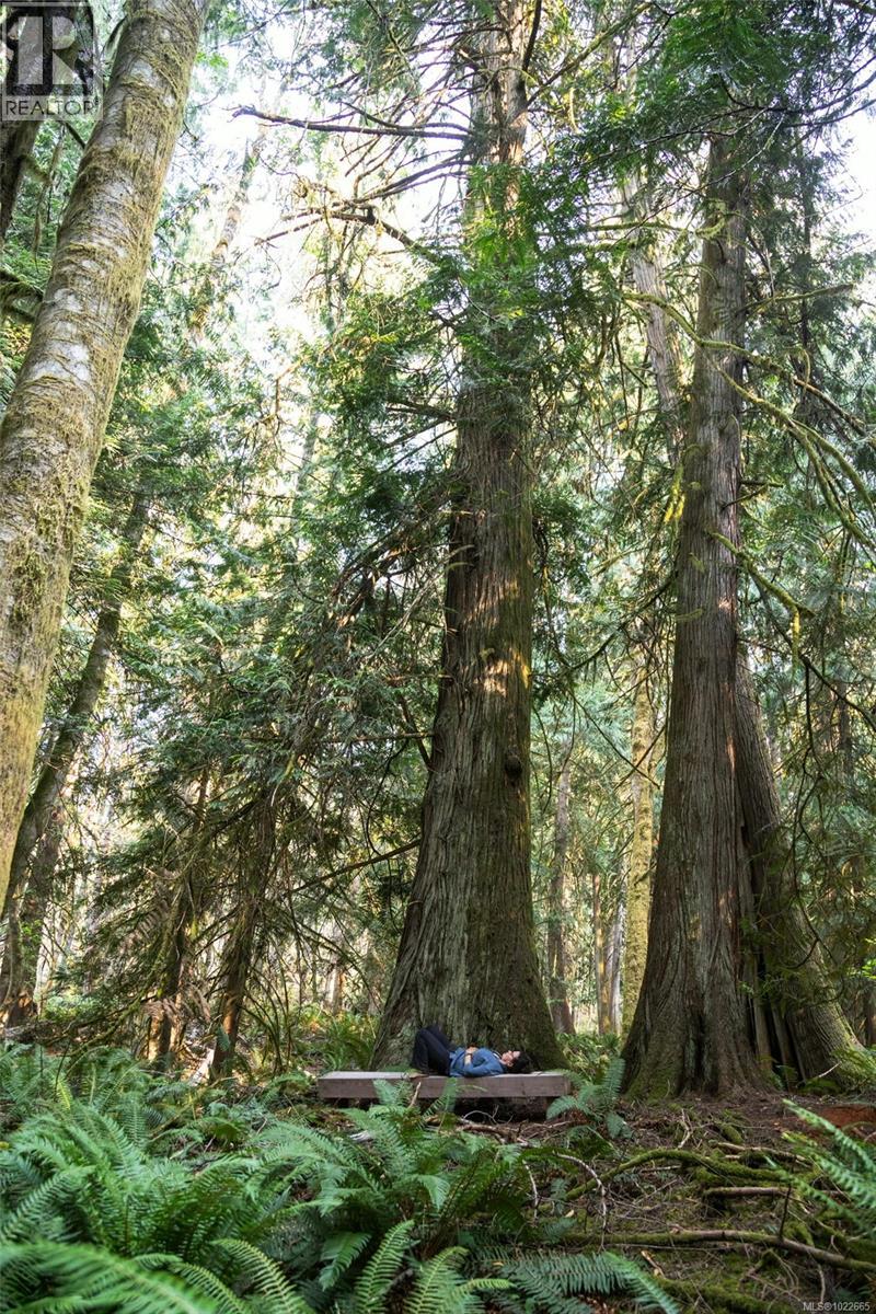 405 Hazlitt Creek Rd, Highlands, British Columbia  V9E 2A3 - Photo 70 - 1022665