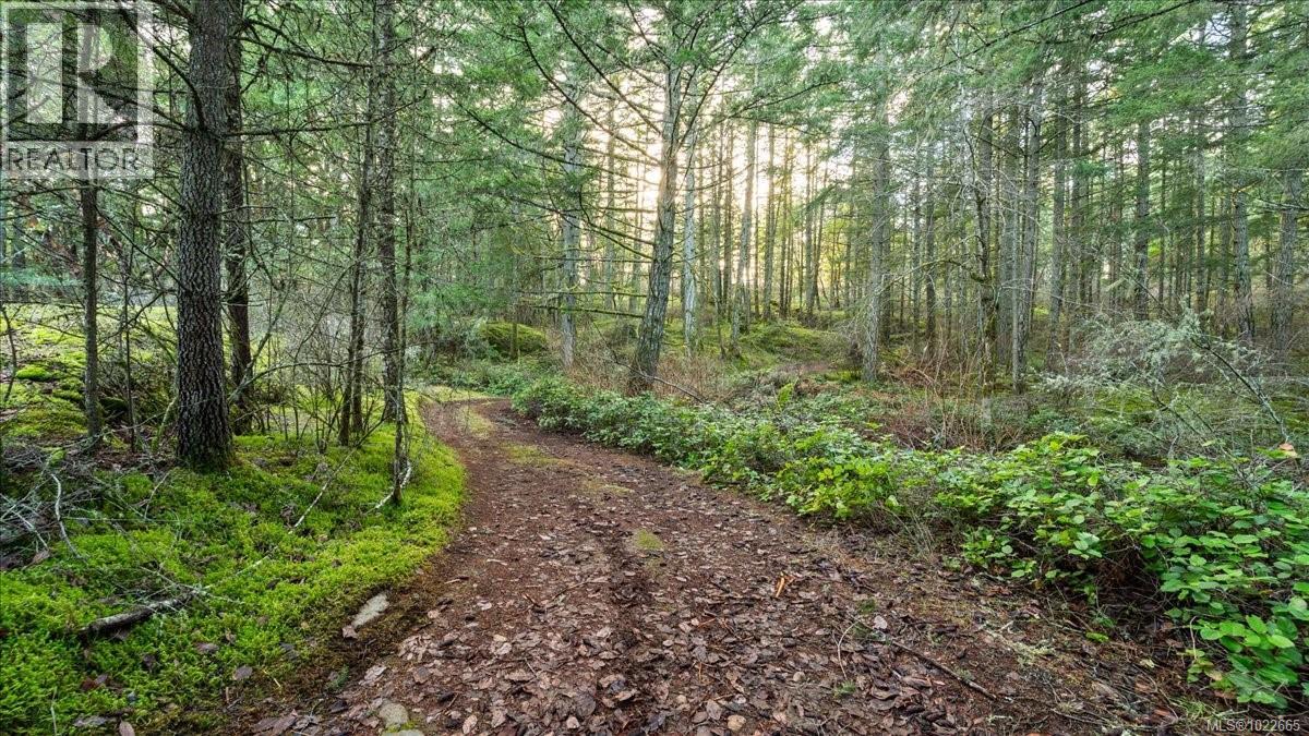 405 Hazlitt Creek Rd, Highlands, British Columbia  V9E 2A3 - Photo 20 - 1022665