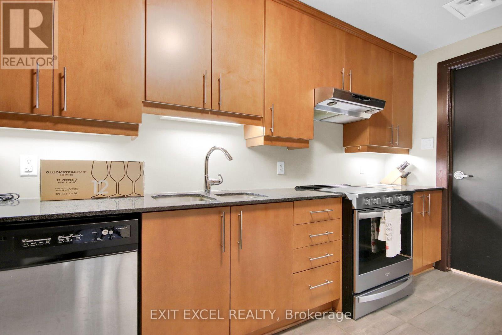 309 - 700 Sussex Drive, Ottawa, Ontario  K1N 1K4 - Photo 28 - X13746088