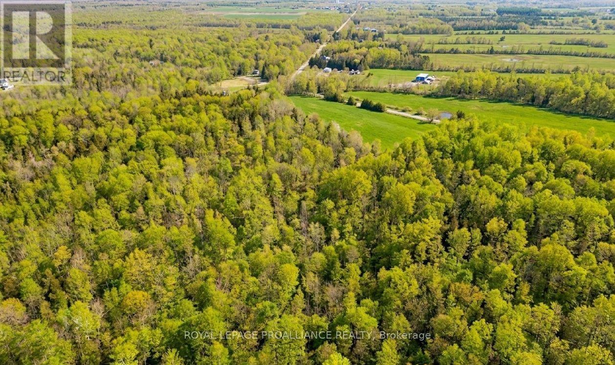 00 Knapp Drive, Augusta, Ontario K6V 5T2 - Photo 3 - X13746306