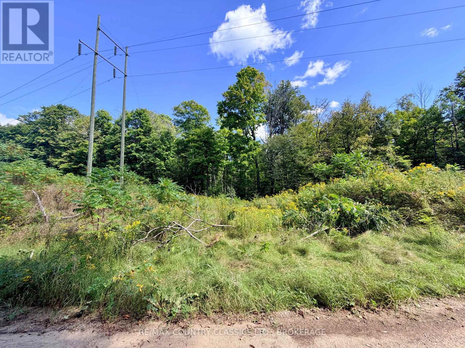 S 1/2 Lot 2-4 Con 1 Hydro Lane, Frontenac, Ontario K0H 2M0 - Photo 4 - X13746182