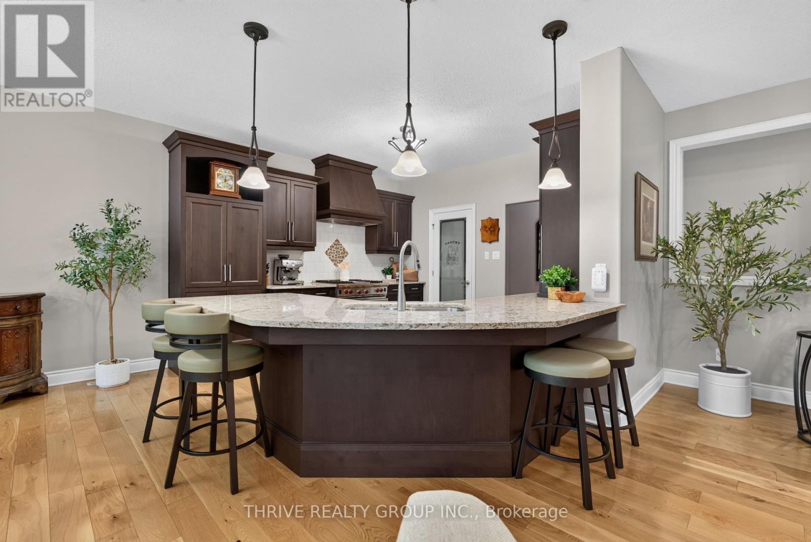 46 Riness Drive, Thames Centre, Ontario  N0L 1G3 - Photo 9 - X13746232