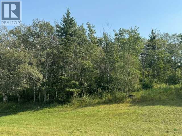 5260 38 Street, Ponoka, Alberta  T4J 1C8 - Photo 13 - A2335559