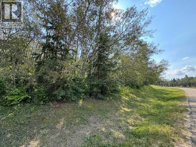 5260 38 Street, Ponoka, Alberta  T4J 1C8 - Photo 9 - A2335559