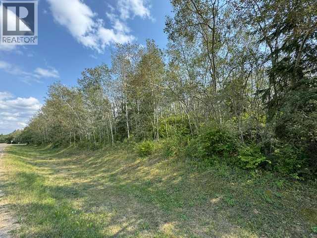 5260 38 Street, Ponoka, Alberta  T4J 1C8 - Photo 8 - A2335559