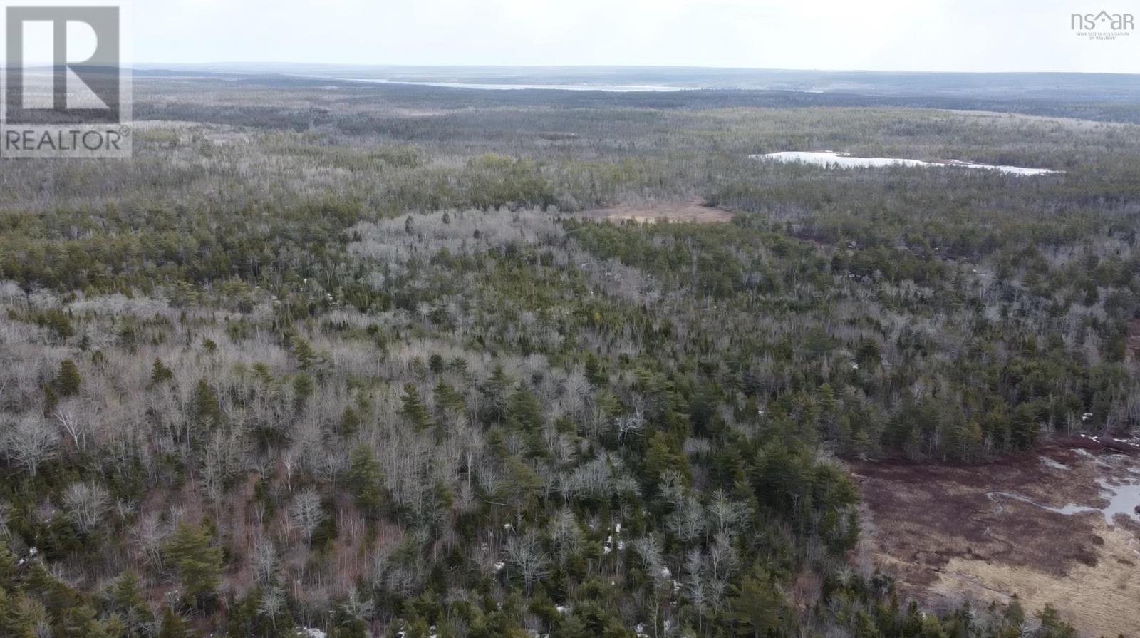 Gilby Crescent, Beaver Bank, Nova Scotia  B4G 1E6 - Photo 5 - 202609841