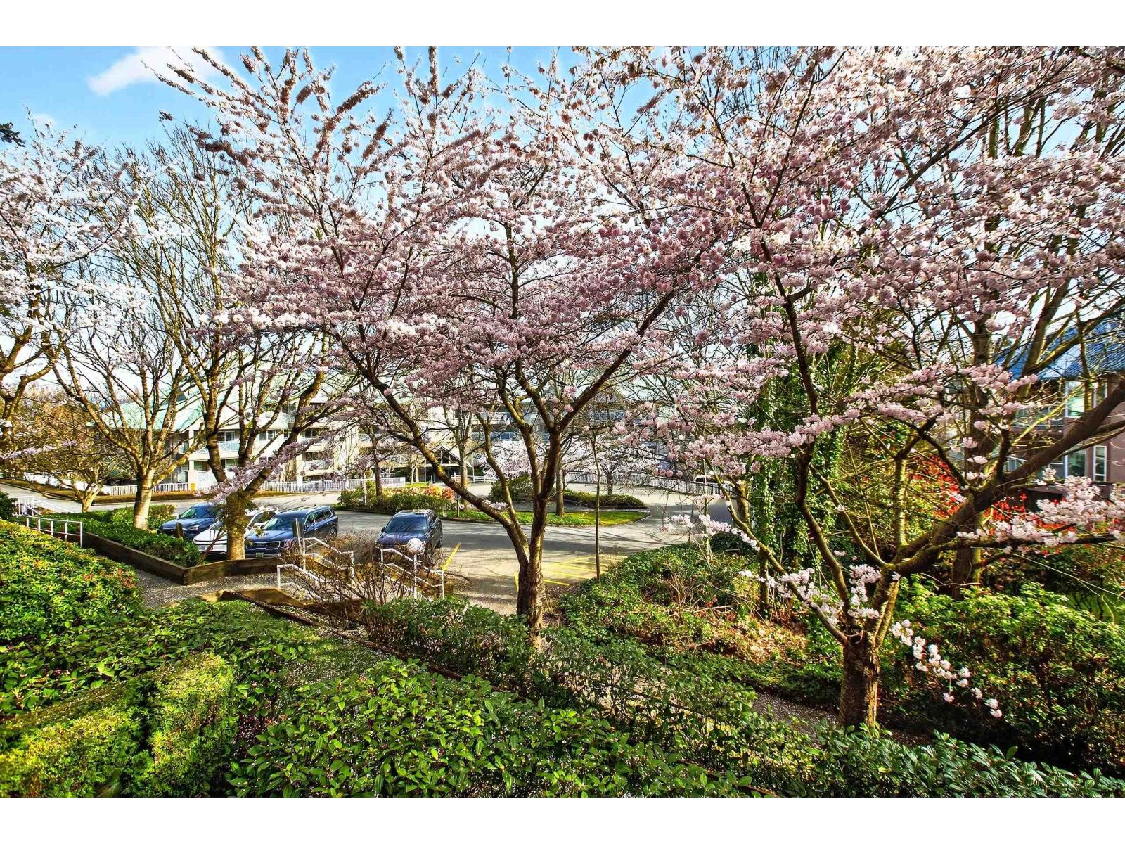 205 15140 29a Avenue, Surrey, British Columbia  V4P 3B1 - Photo 26 - R3161638