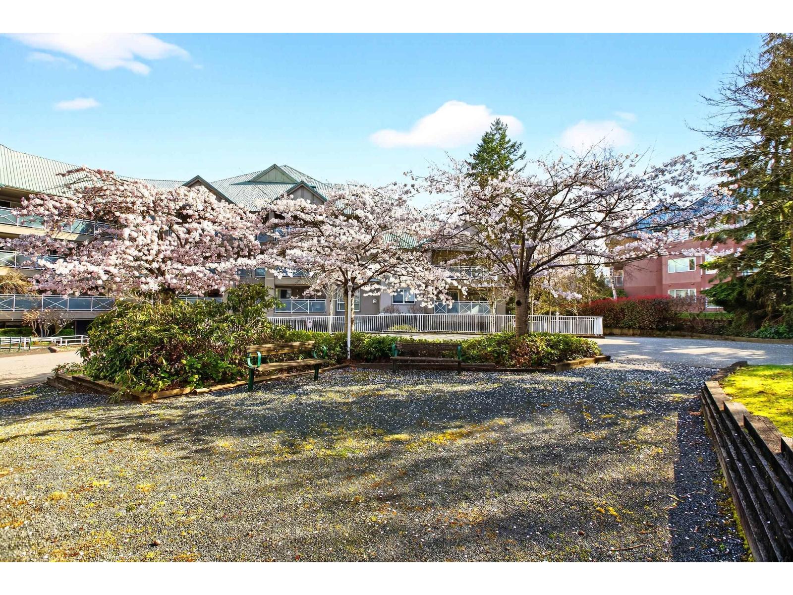 205 15140 29a Avenue, Surrey, British Columbia  V4P 3B1 - Photo 35 - R3161638