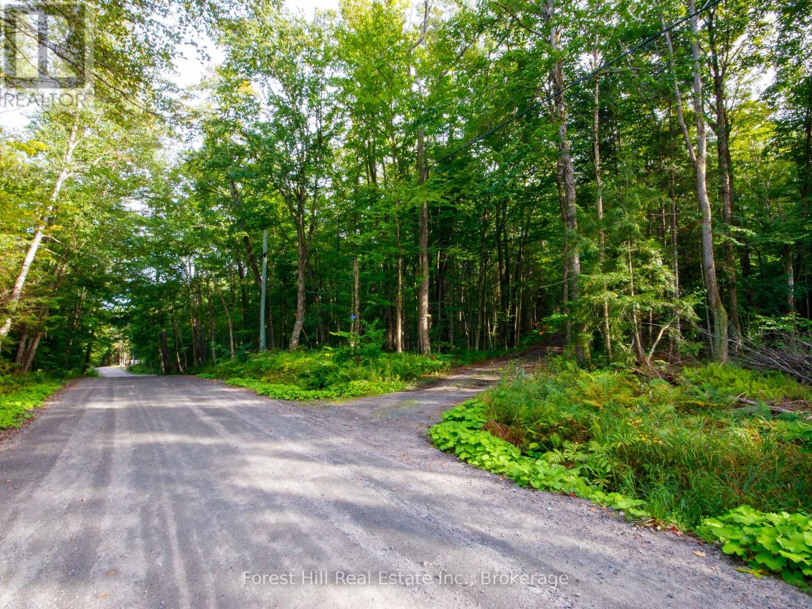 1316 Carlsmount Road E, Bracebridge, Ontario  P1L 1X1 - Photo 10 - X13746392