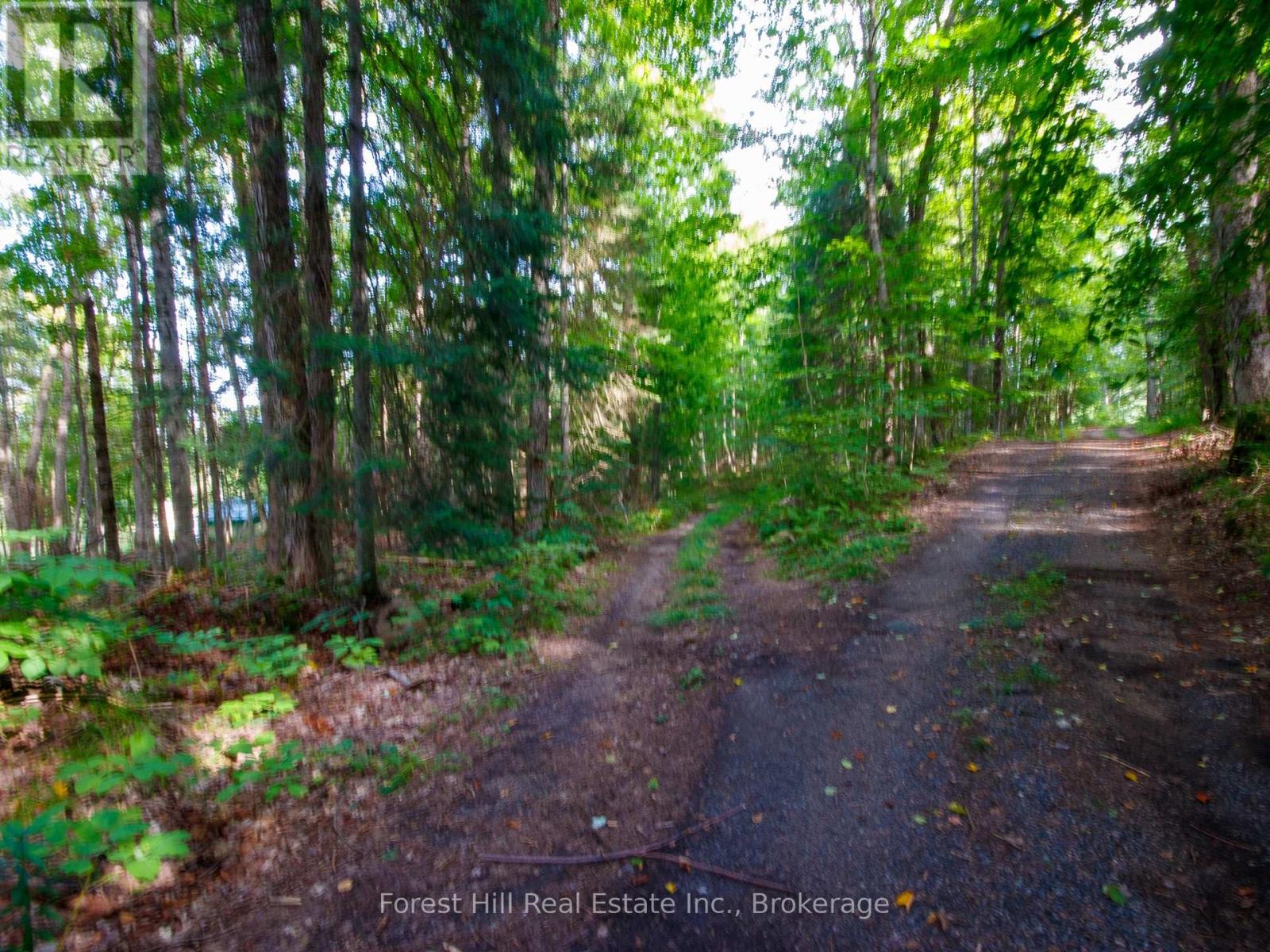 1316 Carlsmount Road E, Bracebridge, Ontario  P1L 1X1 - Photo 11 - X13746392