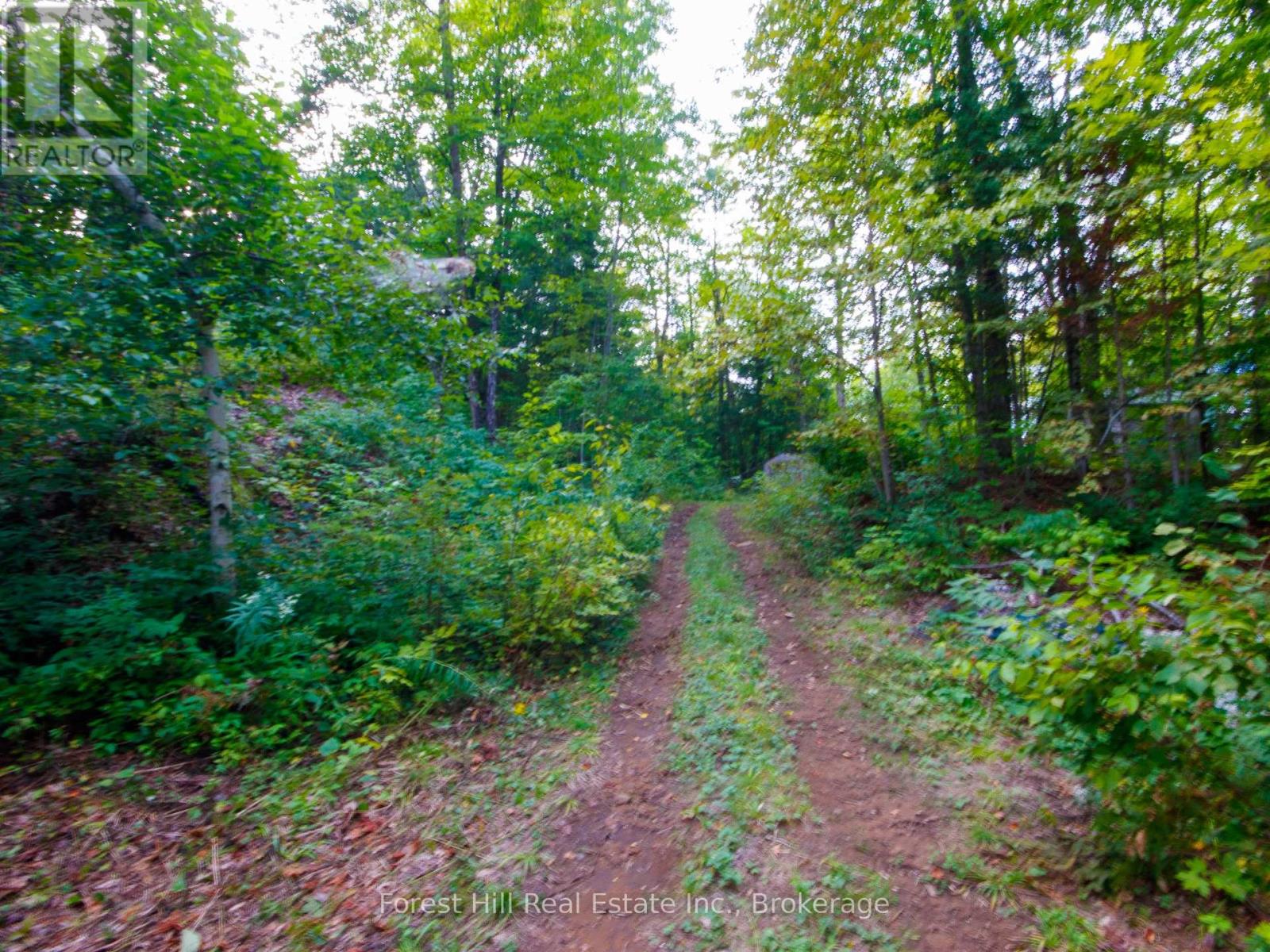1316 Carlsmount Road E, Bracebridge, Ontario  P1L 1X1 - Photo 12 - X13746392
