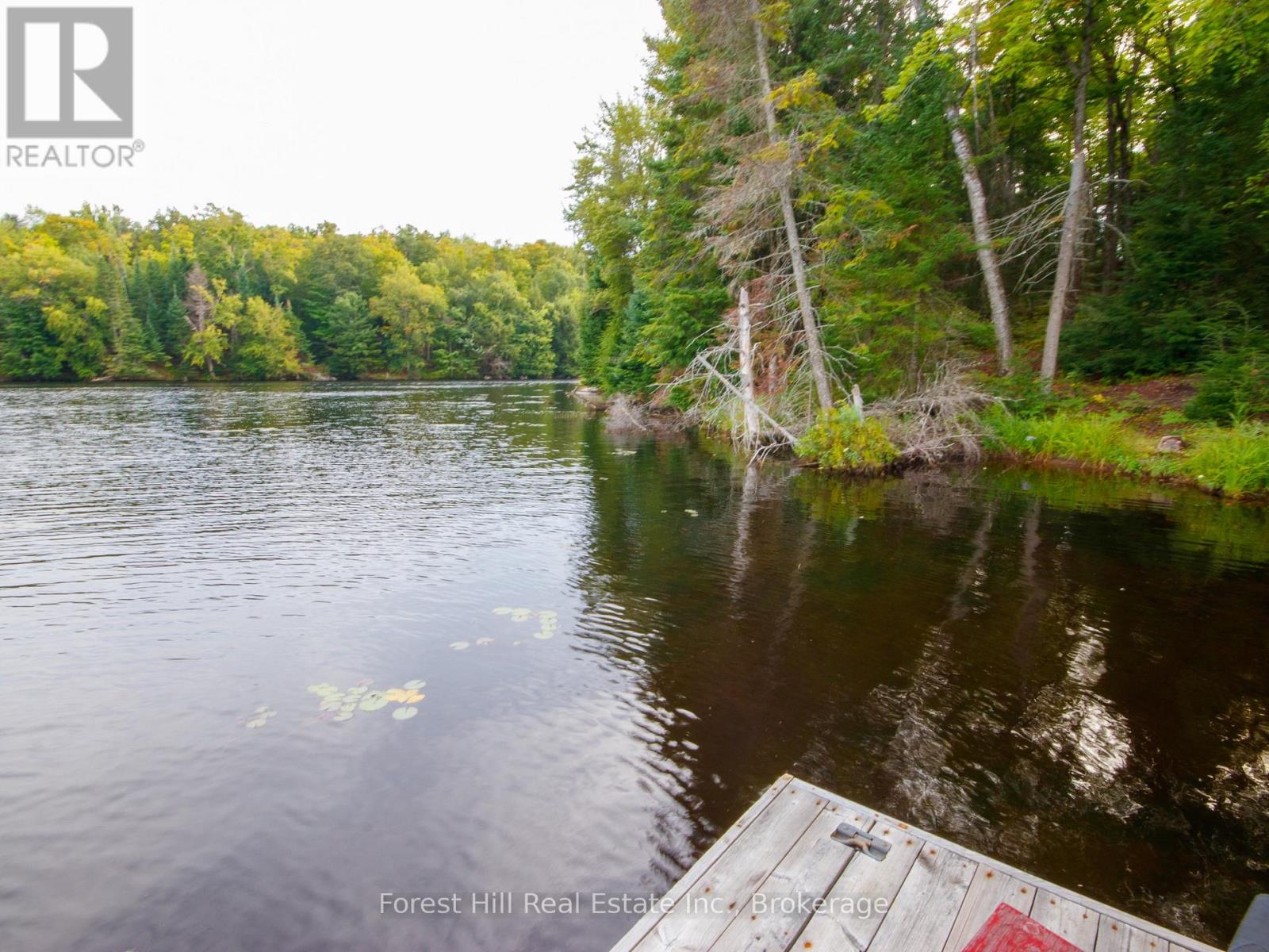 1316 Carlsmount Road E, Bracebridge, Ontario  P1L 1X1 - Photo 16 - X13746392