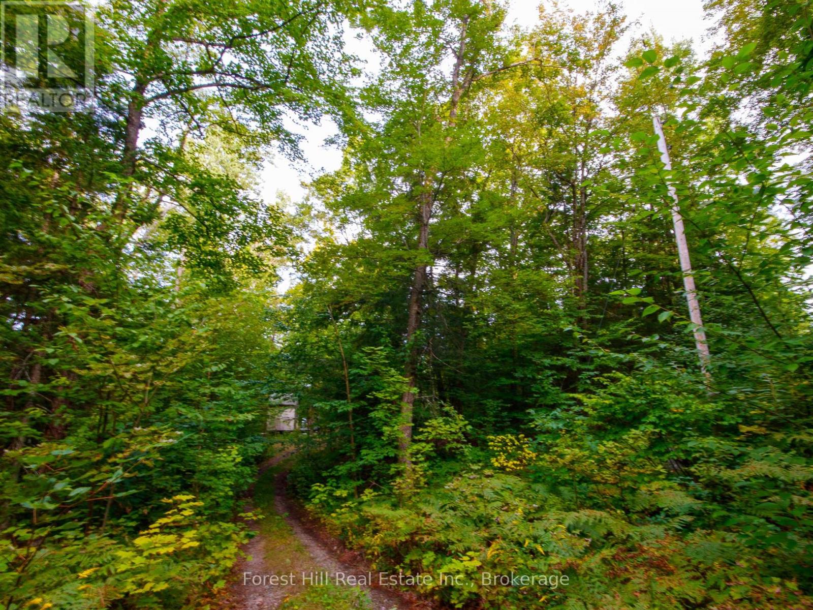1316 Carlsmount Road E, Bracebridge, Ontario  P1L 1X1 - Photo 21 - X13746392