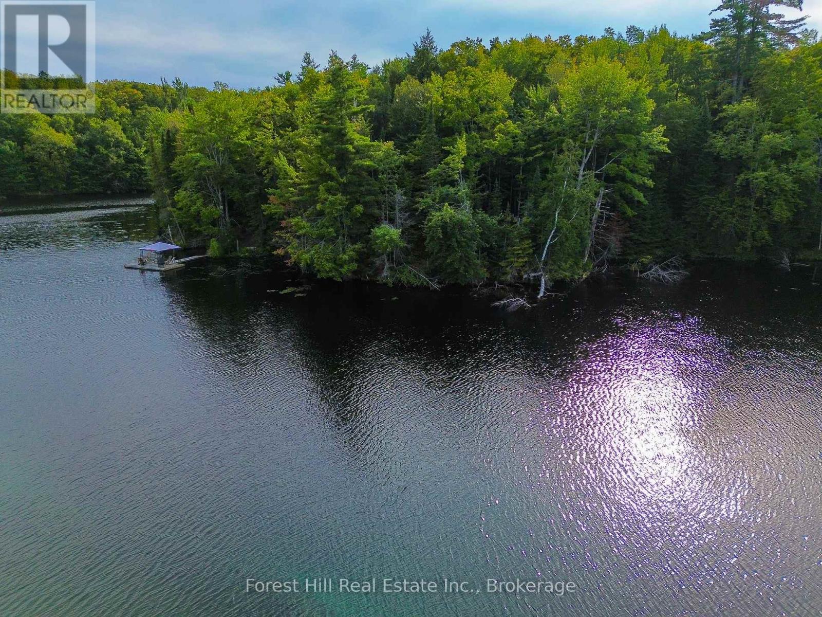 1316 Carlsmount Road E, Bracebridge, Ontario  P1L 1X1 - Photo 3 - X13746392