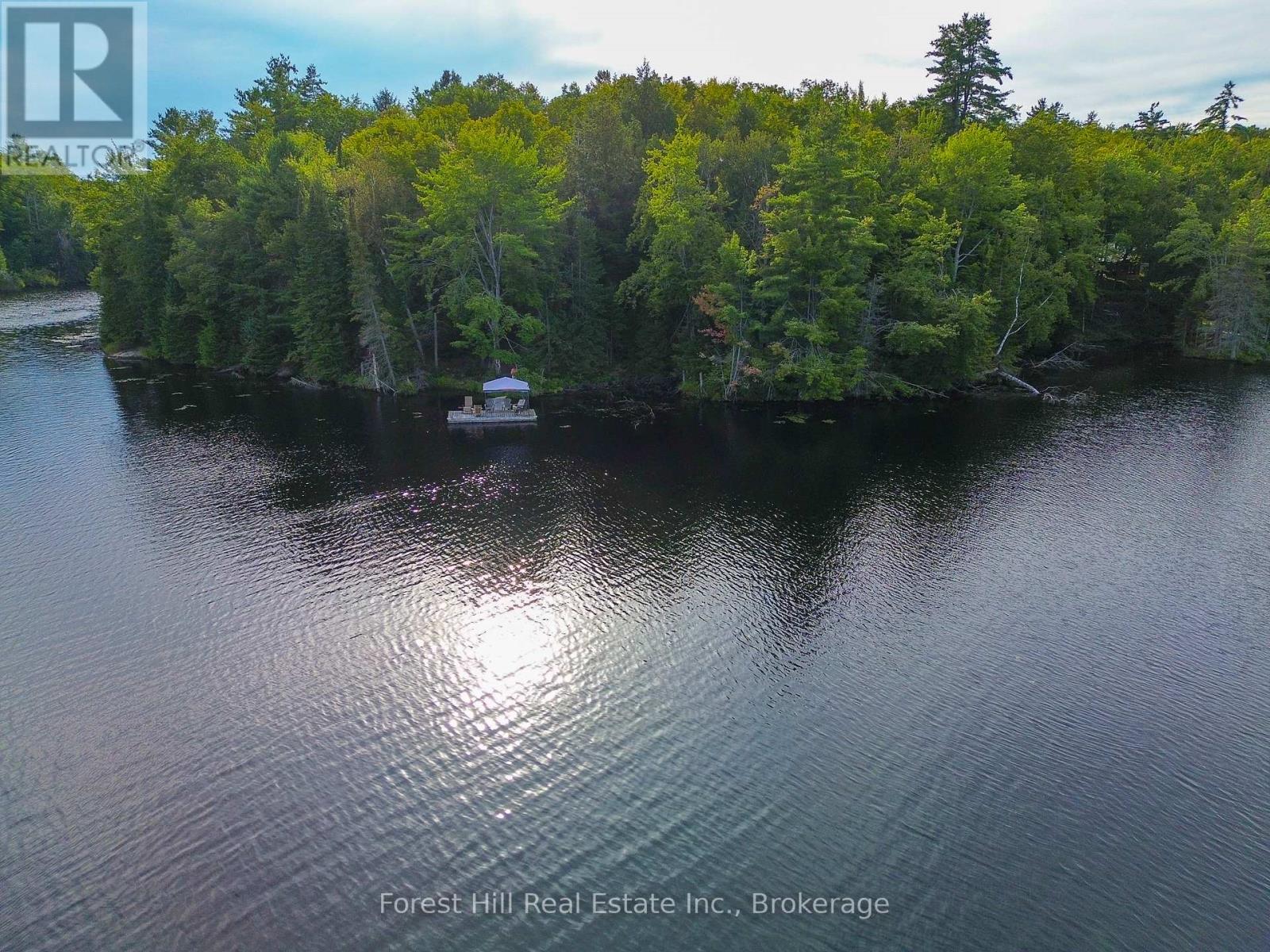 1316 Carlsmount Road E, Bracebridge, Ontario  P1L 1X1 - Photo 4 - X13746392