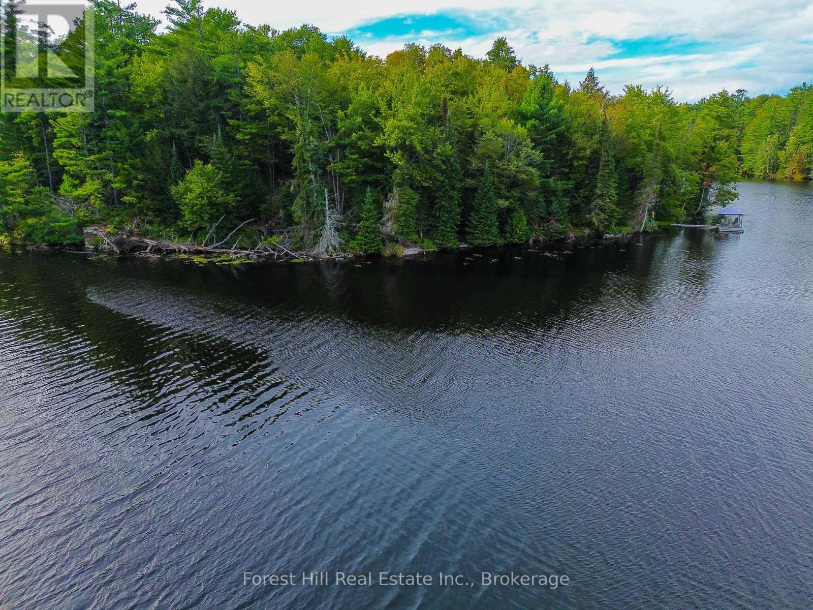 1316 Carlsmount Road E, Bracebridge, Ontario  P1L 1X1 - Photo 5 - X13746392