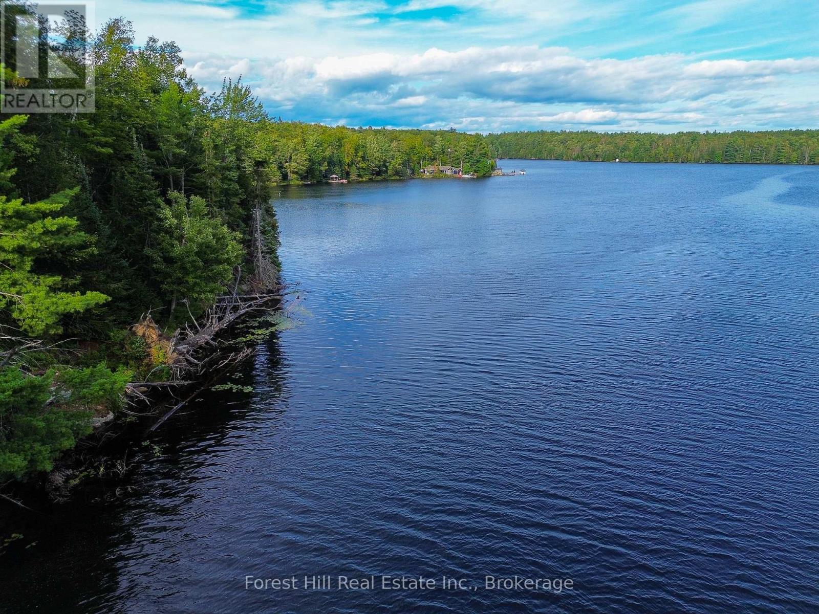1316 Carlsmount Road E, Bracebridge, Ontario  P1L 1X1 - Photo 6 - X13746392