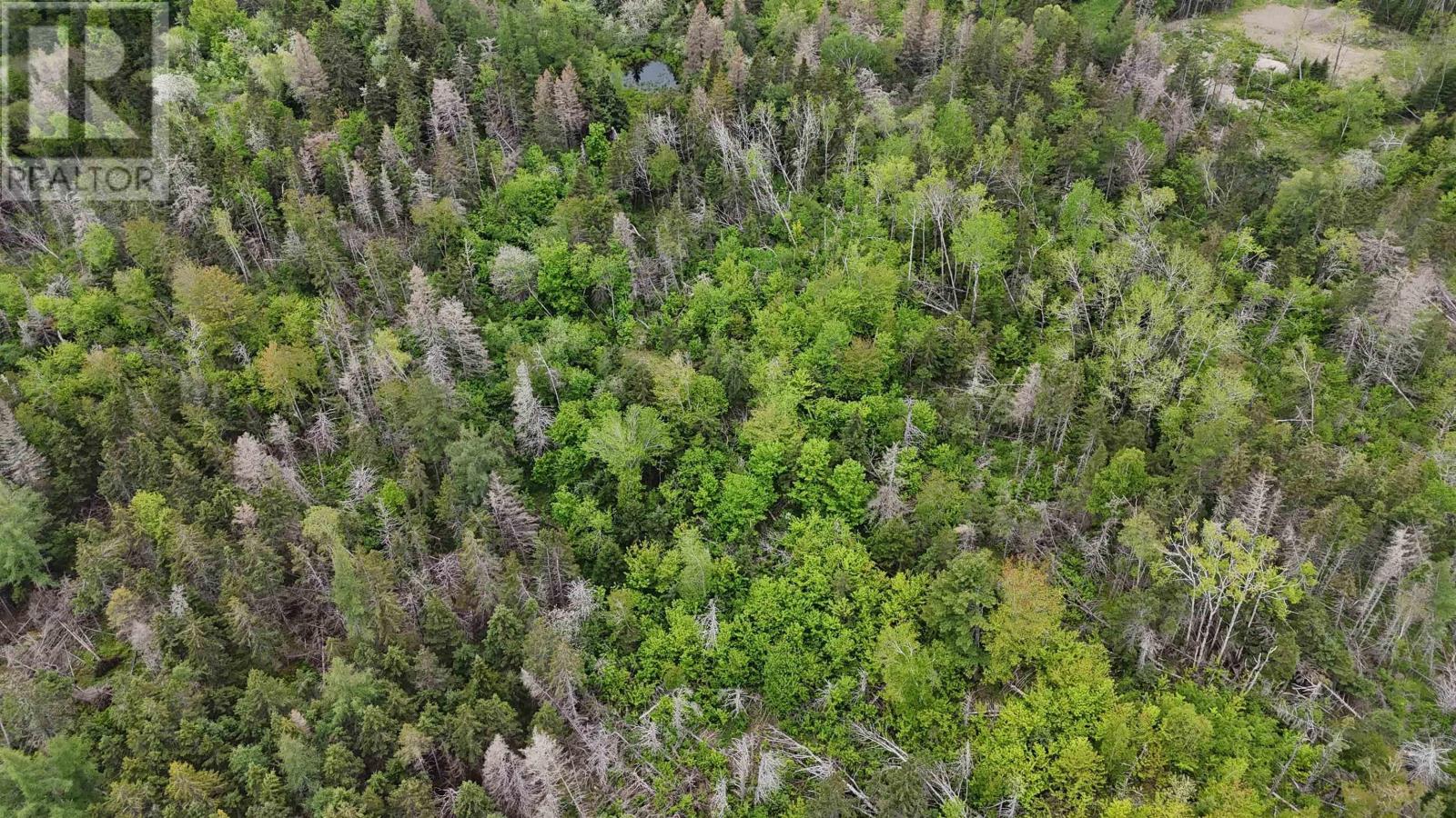 E Matheson Road, Lansdowne Station, Nova Scotia  B0K 2A0 - Photo 11 - 202613804
