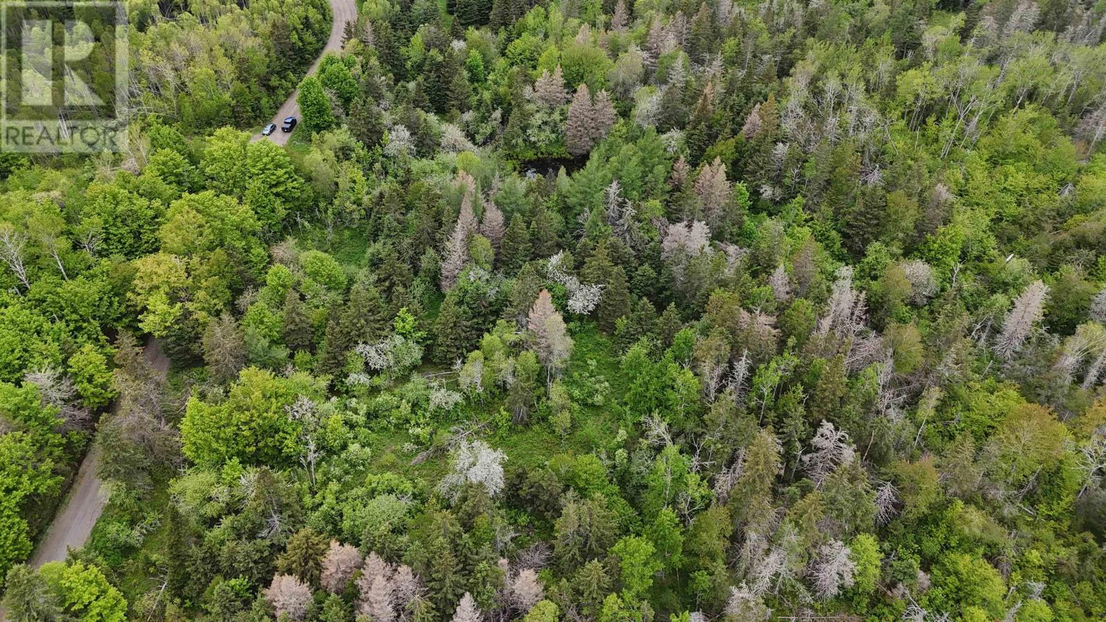 E Matheson Road, Lansdowne Station, Nova Scotia  B0K 2A0 - Photo 13 - 202613804