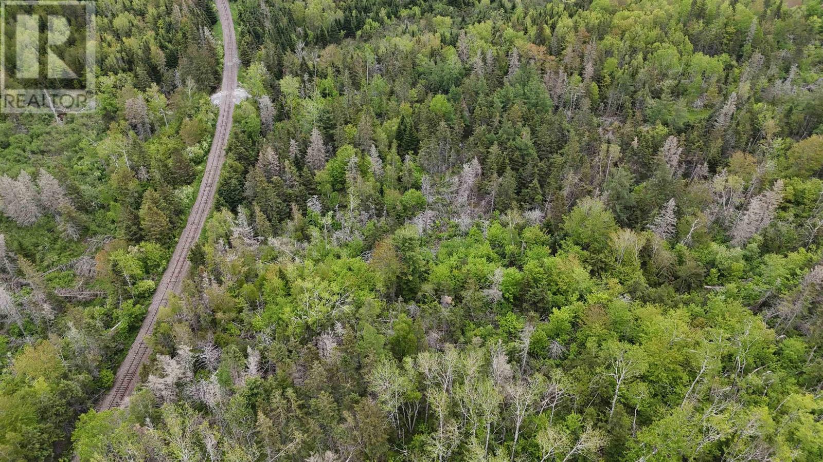 E Matheson Road, Lansdowne Station, Nova Scotia  B0K 2A0 - Photo 8 - 202613804