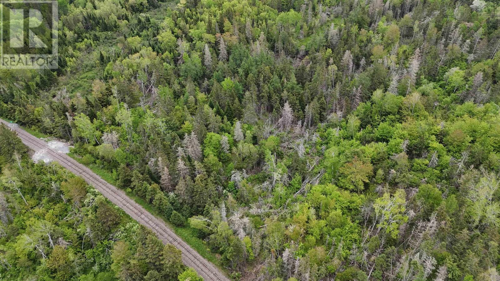 E Matheson Road, Lansdowne Station, Nova Scotia  B0K 2A0 - Photo 9 - 202613804