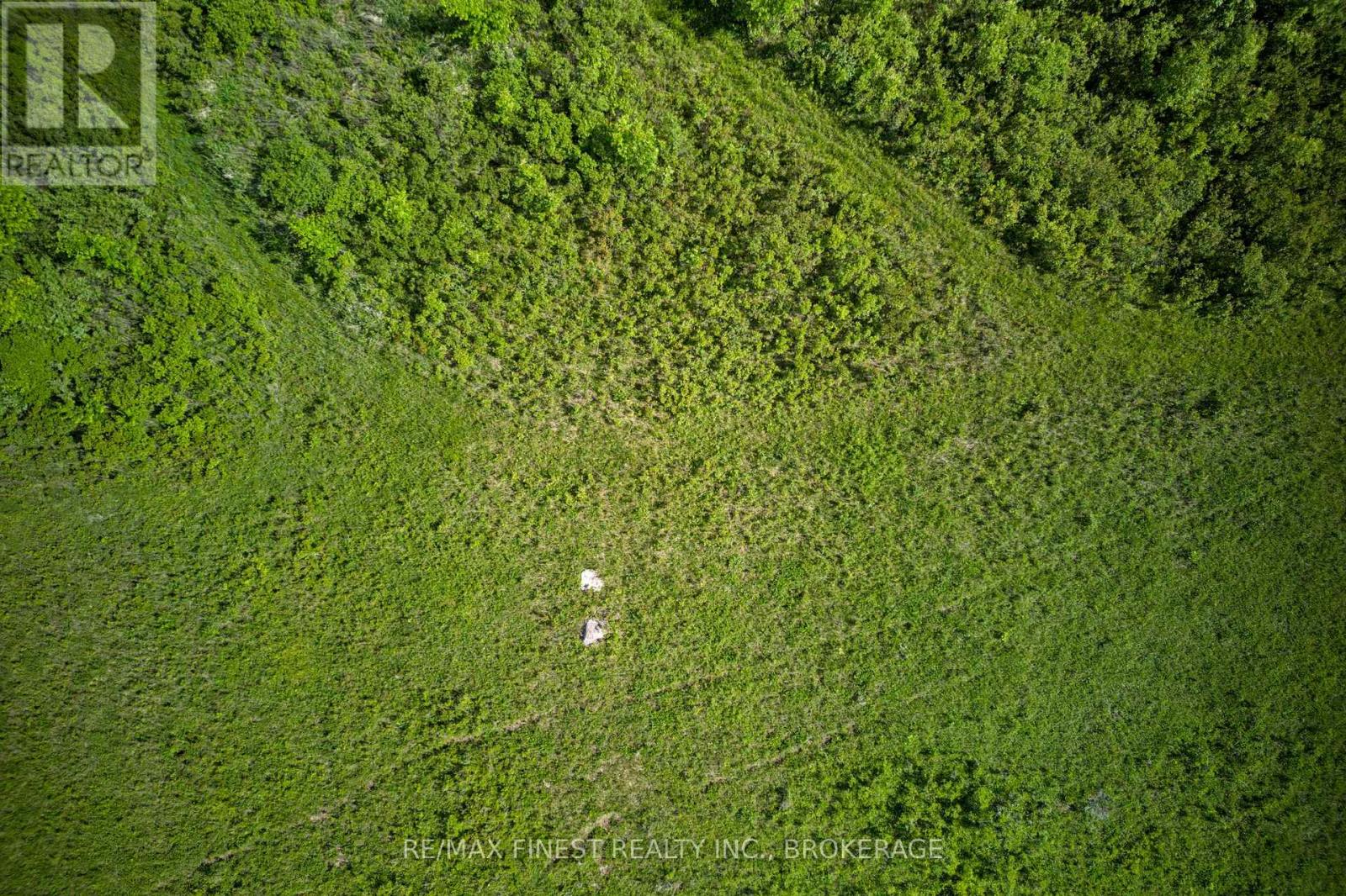 Lot 13 Front Road, Loyalist, Ontario  K0H 2S0 - Photo 20 - X13589266