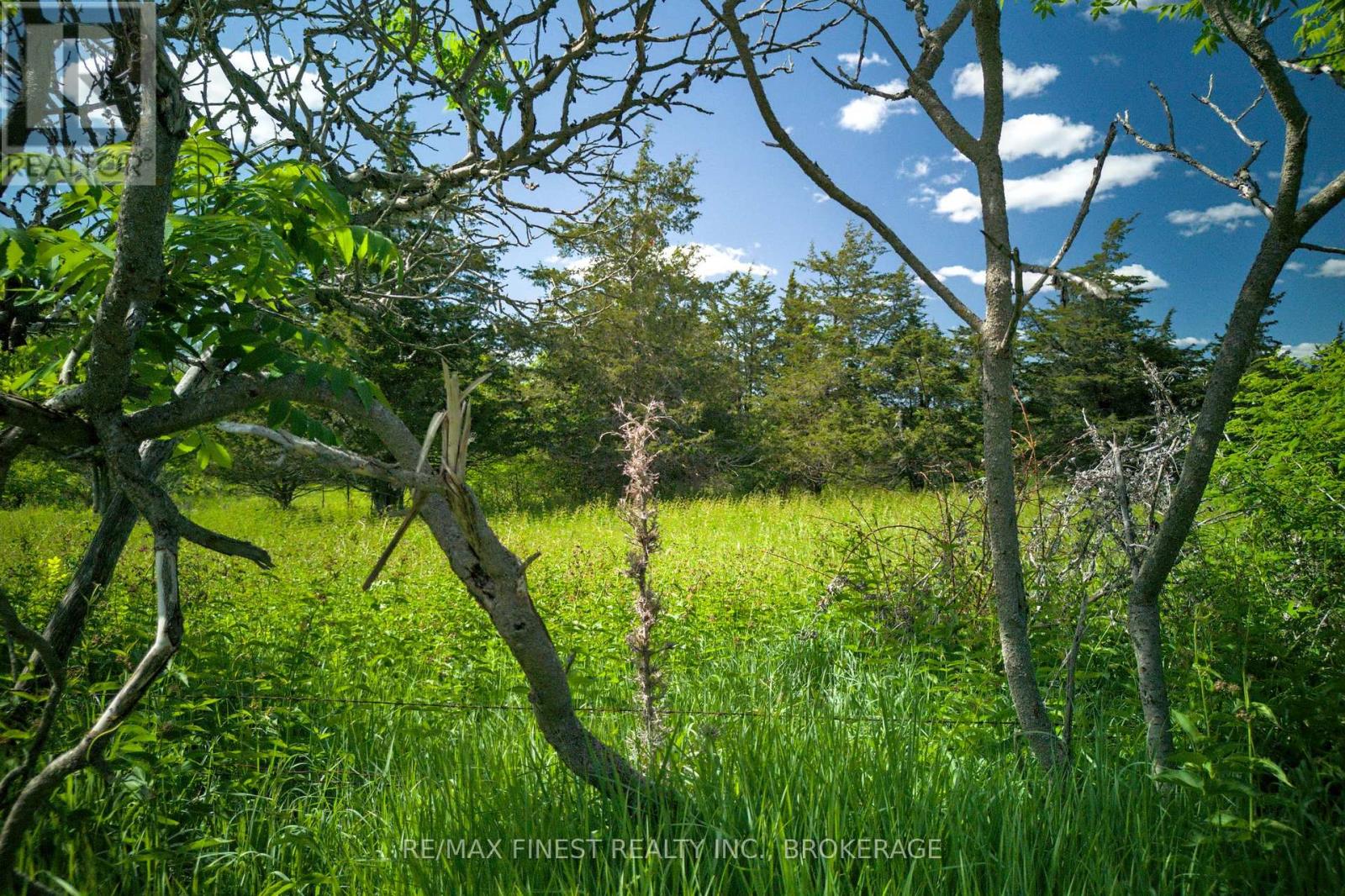 Lot 13 Front Road, Loyalist, Ontario  K0H 2S0 - Photo 11 - X13589266