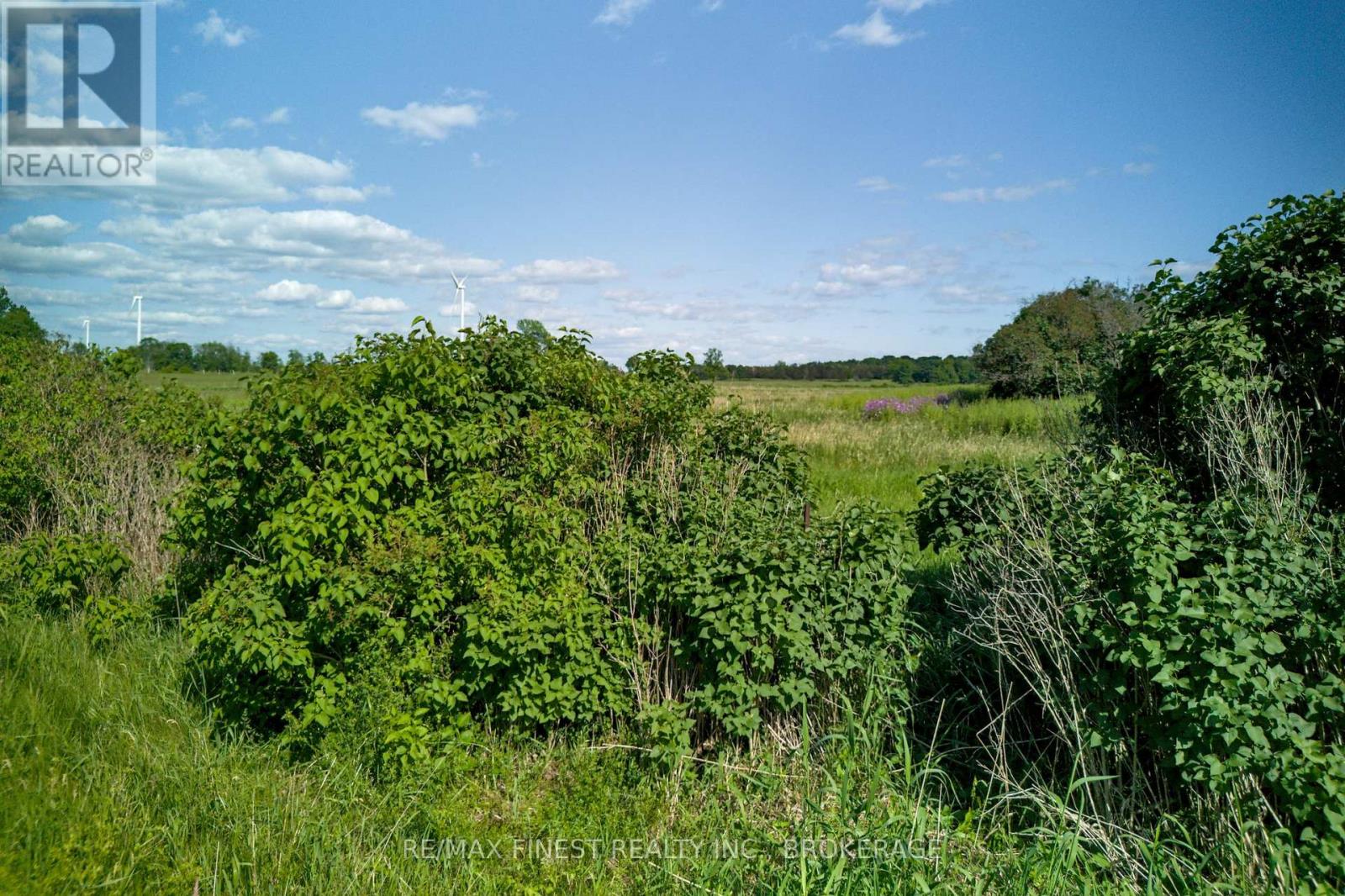 Lot 13 Front Road, Loyalist, Ontario  K0H 2S0 - Photo 31 - X13589266