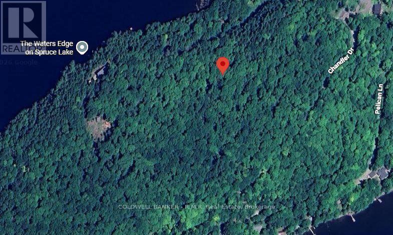 1756 Chandler Drive, Dysart Et Al, Ontario  K0M 1S0 - Photo 16 - X13746538
